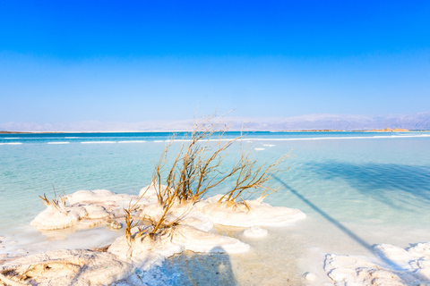 From Jerusalem: Masada and Dead Sea Tour