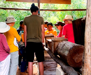 Xkopek, Mayan Bees Tour and Honey Tasting in Valladolid