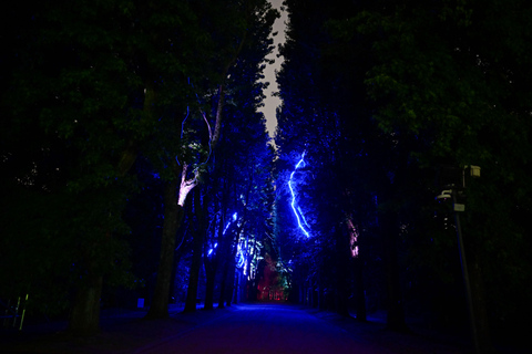 Porto: Serralves Em Luz Immersive Light Show Entry Ticket