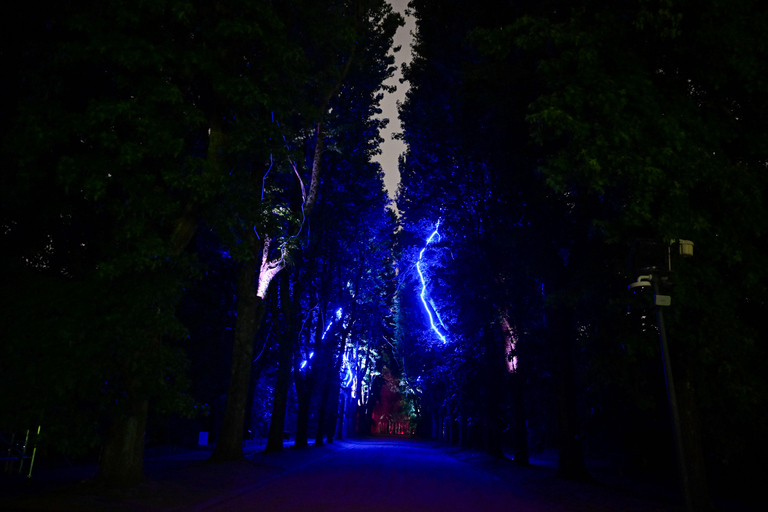 Porto: Serralves Em Luz Immersive Light Show Entry Ticket