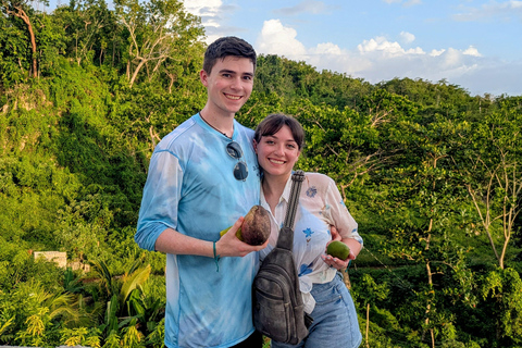 Negril: Jamaican Roots Tropical Farm Tour (2.5 hr w/ pickup)