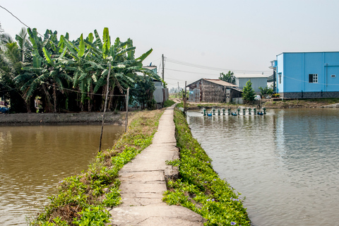 From Ho Chi Minh City: Half-Day Mekong Speedboat & Bike Tour Small Group Tour