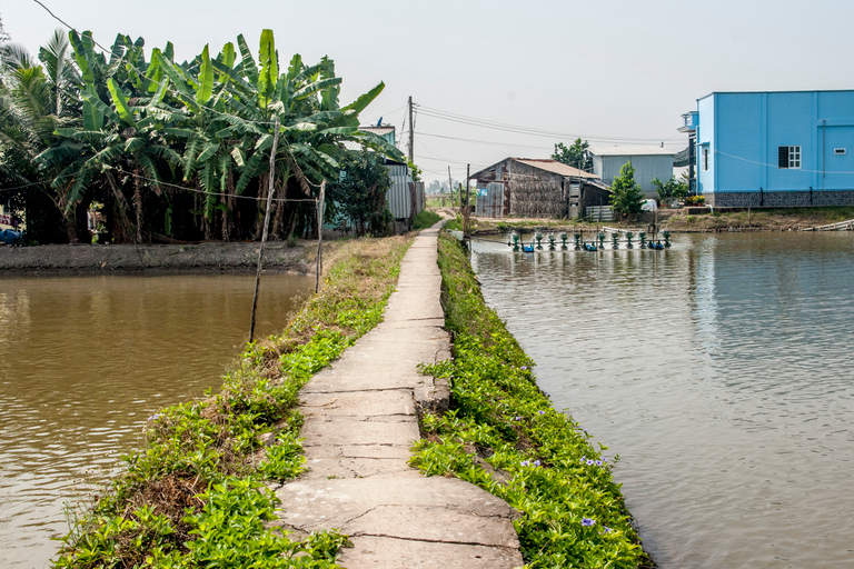 From Ho Chi Minh City: Half-Day Mekong Speedboat & Bike Tour Small Group Tour