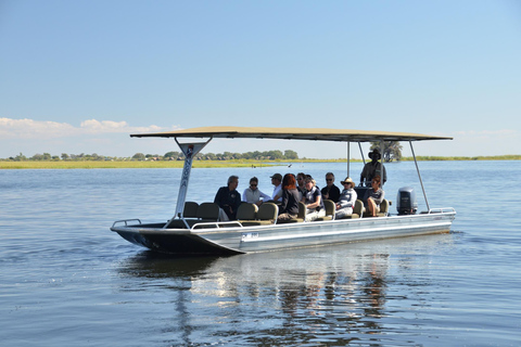 Från Victoria Falls Chobe Extended heldagssafari