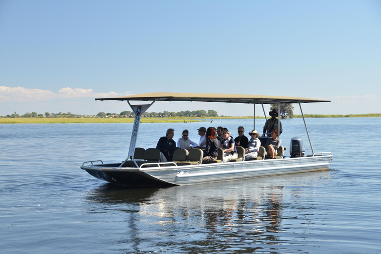 Van Victoria Falls Chobe Uitgebreide Volledige Dag Safari