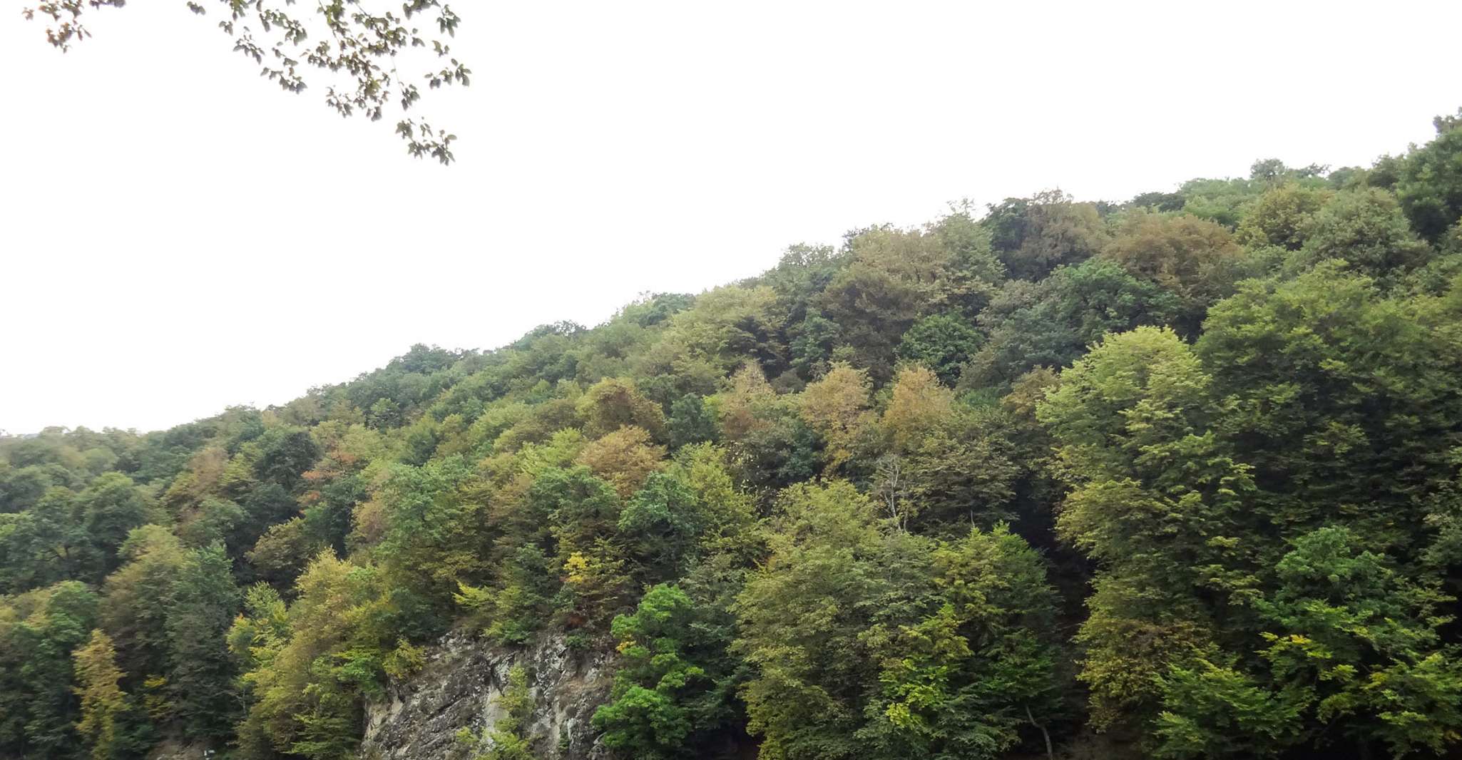 Buranın yakınındaki restoranlar: Tavush & The Discovery of Lake Sevan - Hizvo