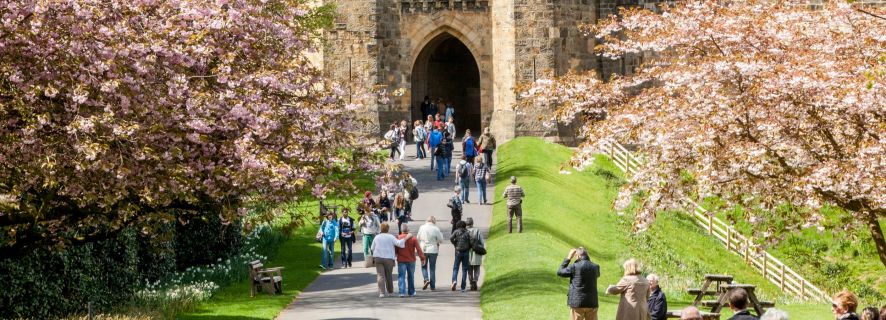 From Edinburgh: Alnwick Castle and Scottish Borders Day Tour