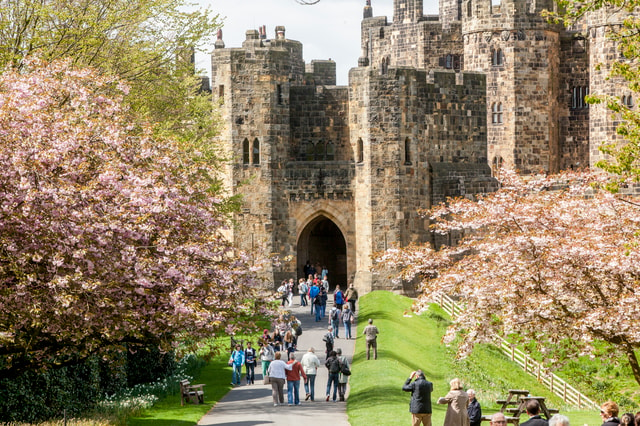 From Edinburgh: Alnwick Castle and Scottish Borders Day Tour