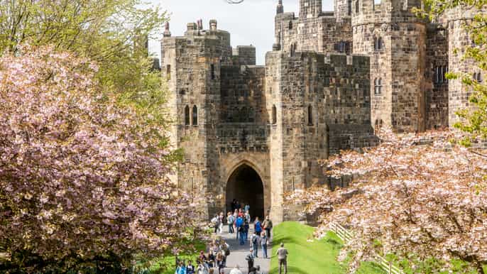 edimburgo excursão ao castelo de alnwick e scottish borders