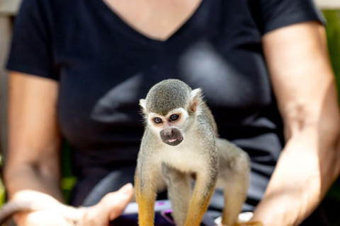 Punta Cana: Monkeyland Halve Dag Tour met Snacks en Gids