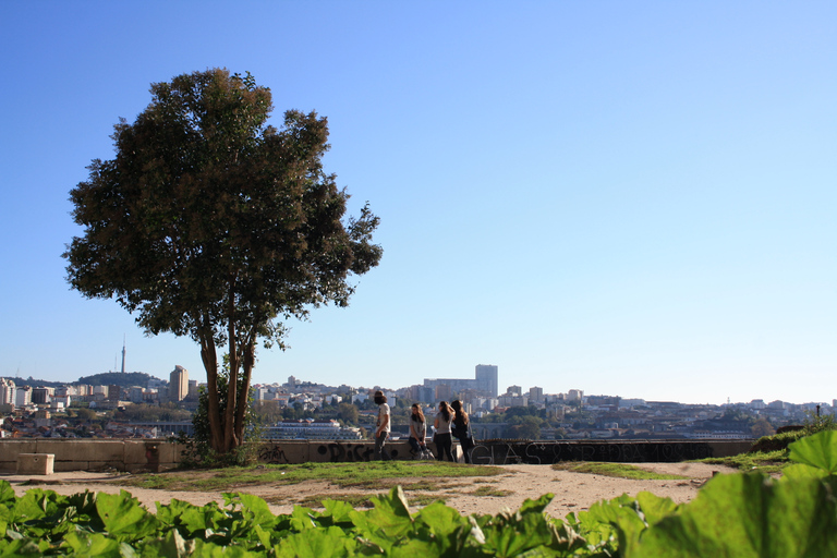 Oporto: tour judío de medio día