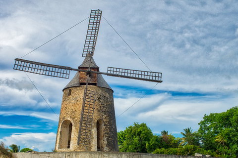 Guadeloupe: Balade pour découvrir le Moule à vélo électrique
