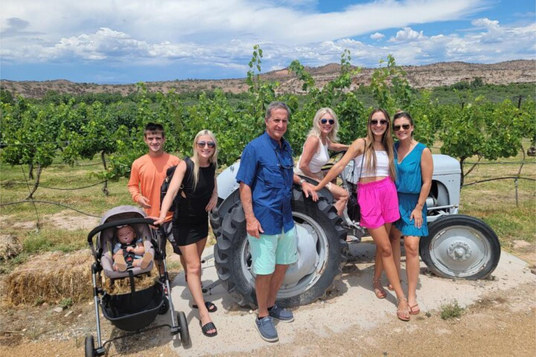 Sedona: Private Wine or Beer Tasting Tour with Guide