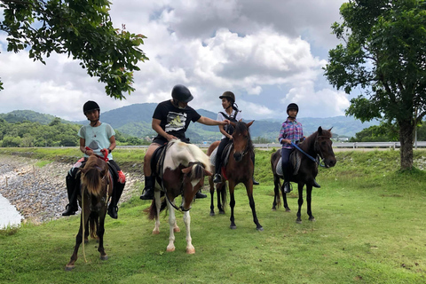 Phuket Jungle Horseback Ride with Scenic Forest Views Adventure Trail (2 Hrs)