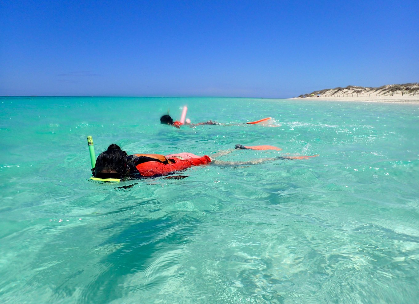 Exmouth: Heldagstur til Ningaloo på en dag