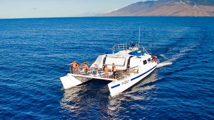 maui molokini and turtle town snorkel with deli lunch