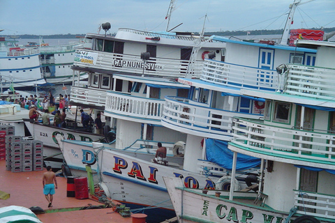 Visite de la ville de Manaus avec le théâtre de l&#039;Amazonie