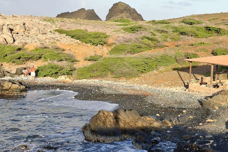 Mini Wellness Retreat in Aruba