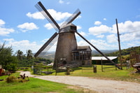 Barbados, Island Tour with Animal Flower Cave and Lunch - Housity
