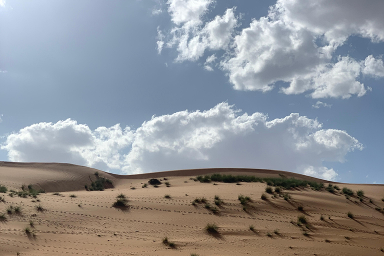 Muscat: Wahiba Desert &amp; Wadi Bani khalid Private Tour+Lunch