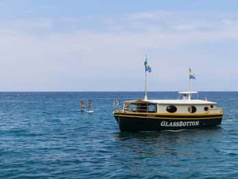 Big Island: Umweltfreundliche Tour mit Glasboden-Boot Big Island: Umweltfreundliche Tour mit Glasboden-Boot