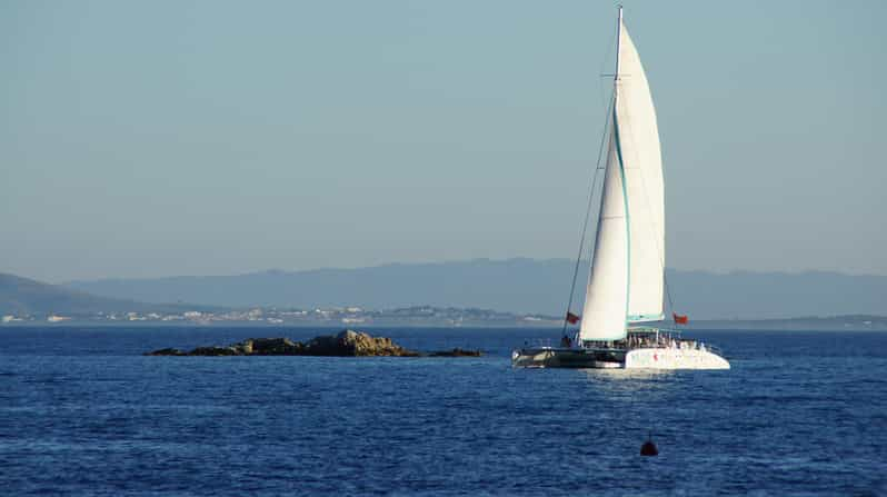 From Roses: Sunset Catamaran Cruise | GetYourGuide