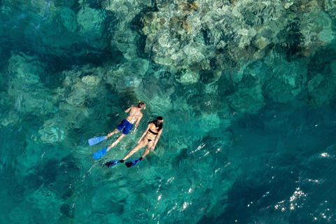 Airlie Beach: Great Barrier Reef Snorkel from Shute Harbour