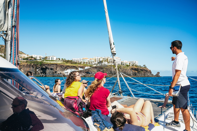 Funchal: osservazione di delfini e balene in catamarano di lusso