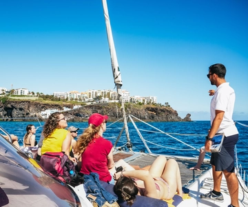 Funchal: Dolphin and Whale Watching by Luxury Catamaran