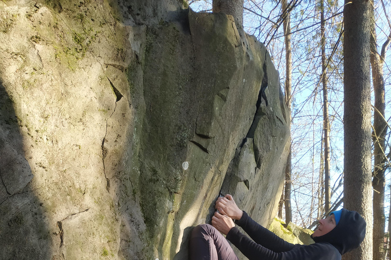 Oslo: Østmarka Forest Bouldering Tour with Guide