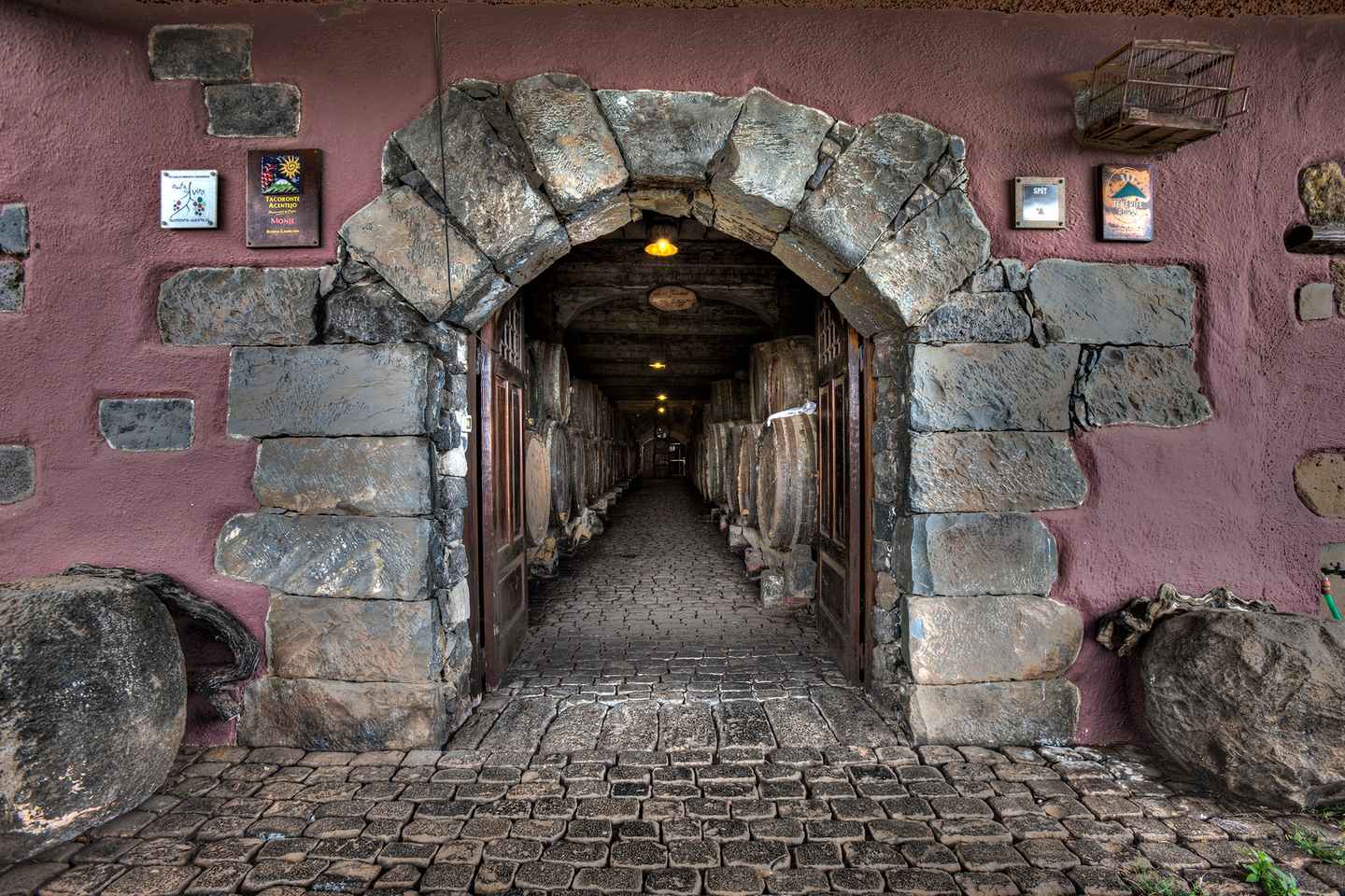 El Sauzal: Winery Tour and Mojo Sauce Workshop