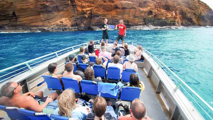 maui molokini wild eco adventure from maalaea harbor