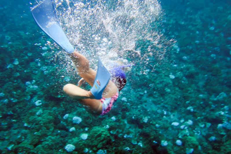 Maui Molokini Wild Eco Adventure from Maalaea Harbor GetYourGuide
