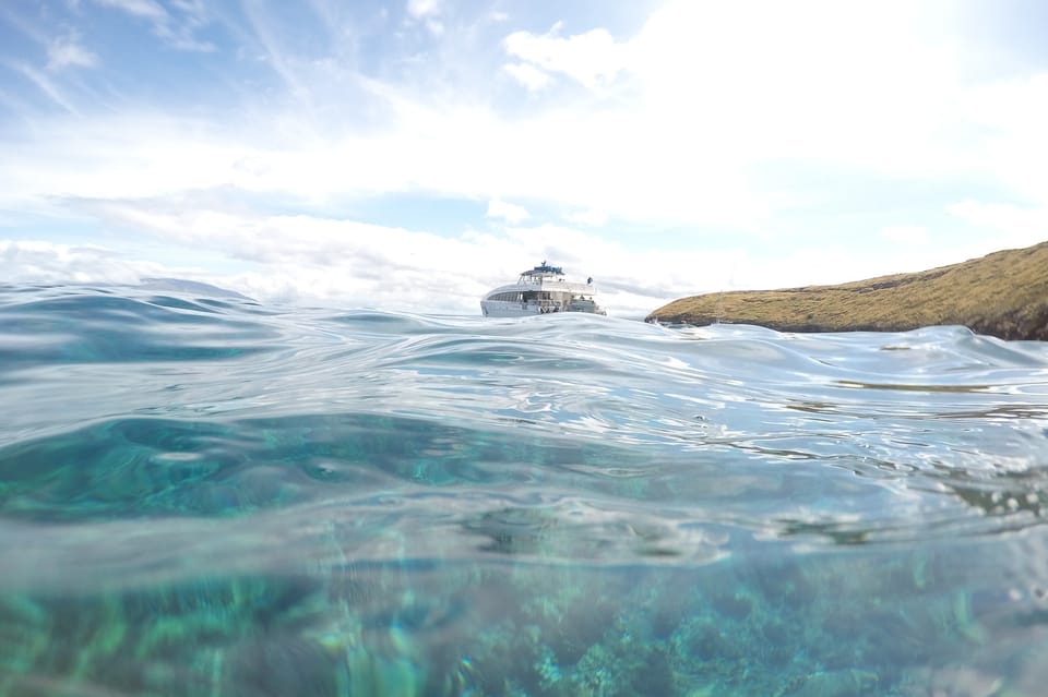 South Maui Molokini Wild Eco Adventure from Maalaea Harbor GetYourGuide