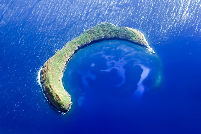 Maui: wycieczka z lunchem na Molokini i do Miasta Żółwi