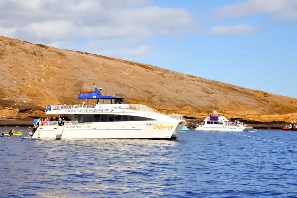 South Maui Eco Friendly Molokini and Turtle Town Tour GetYourGuide