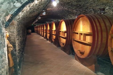 From Avignon: Private Wine Tour in the Cotes du Rhone
