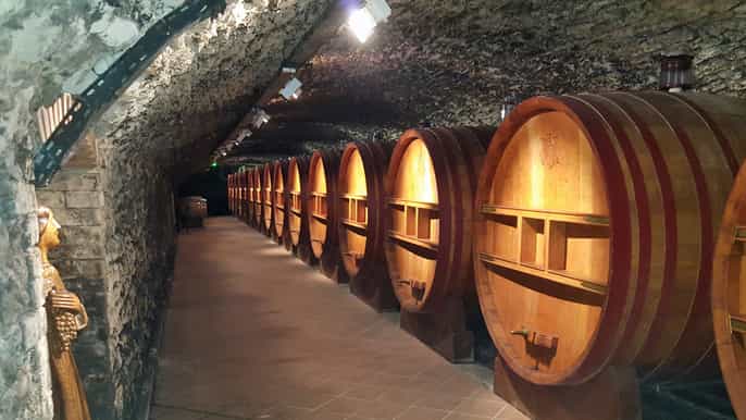 davignon tour privé viticole dans les côtes du rhône