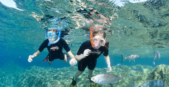 Von Mandelieu-La Napoule: Bootstour und Schnorcheltour