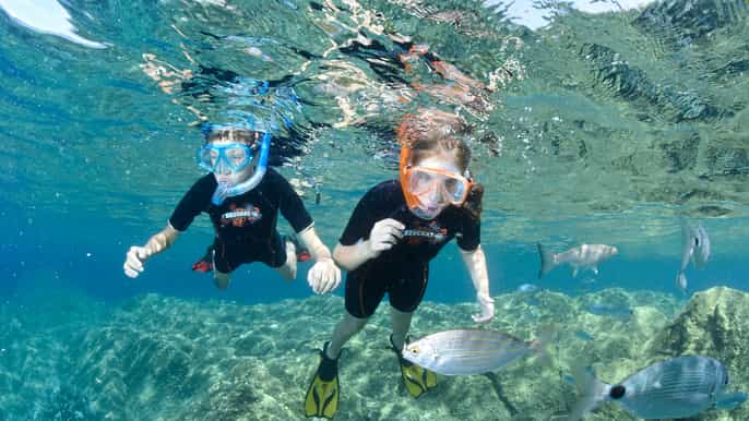 cannes croisière de 4 h avec snorkeling