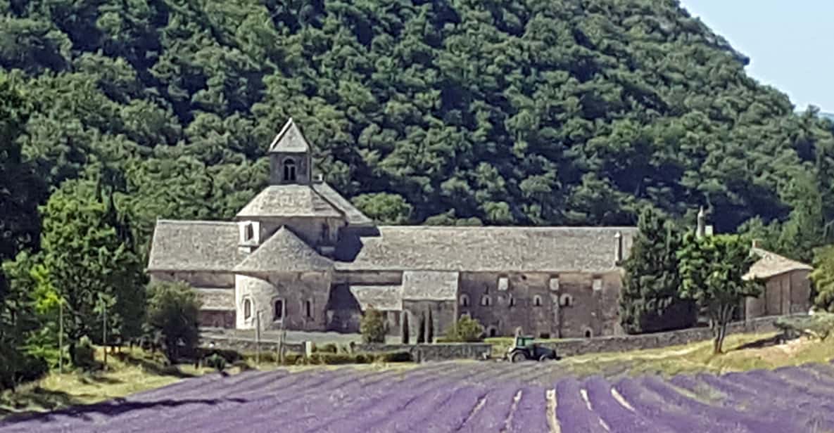 From Avignon: 1-Day Lavender Tour