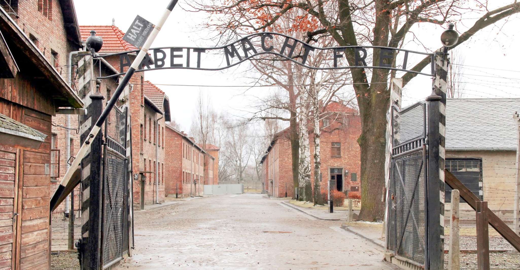 Krakow, Auschwitz-Birkenau and Salt Mine Guided Tour - Housity