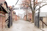 Krakow, Auschwitz-Birkenau y Salt Mine Guided Tour - Housity