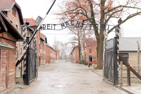 Kraków: Auschwitz-Birkenau i kopalnia soli w 1 dzień – wycieczka z przewodnikiemAuschwitz-Birkenau i kopalnia soli – wycieczka poranna z miejsca zbiórki