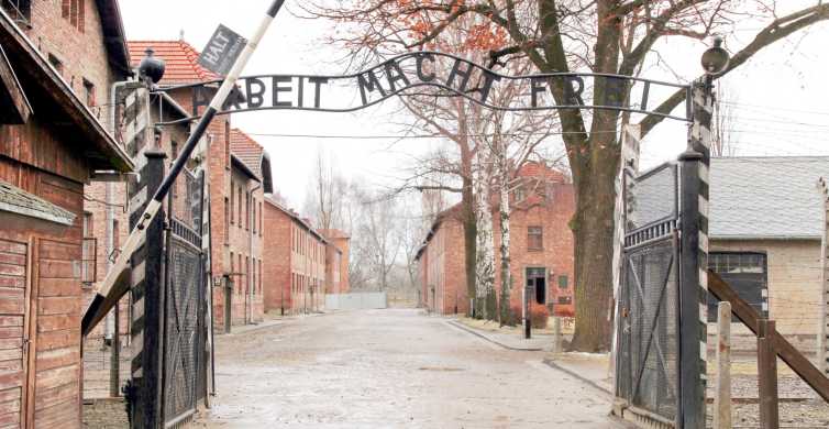 Auschwitz e miniera di Wieliczka: tour guidato da Cracovia