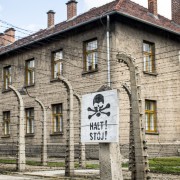 Z Krakowa: Auschwitz i kopalnia Wieliczka z przewodnikiem