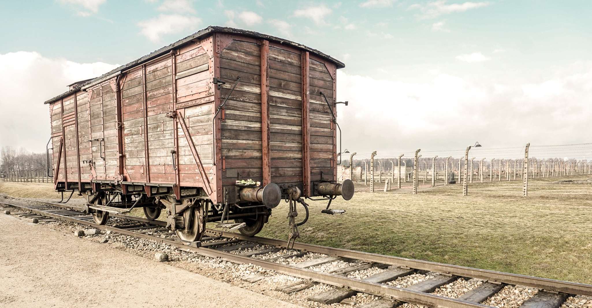 Krakow, Auschwitz-Birkenau and Salt Mine Guided Tour - Housity