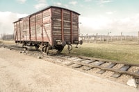 Krakow, Auschwitz-Birkenau y Salt Mine Guided Tour - Housity