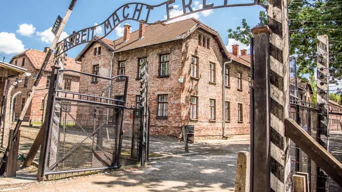 from krakow auschwitz salt mine tour with lunch option