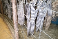 De Krakow, Auschwitz y Wieliczka Salt Mine Viaje de día completo - Housity